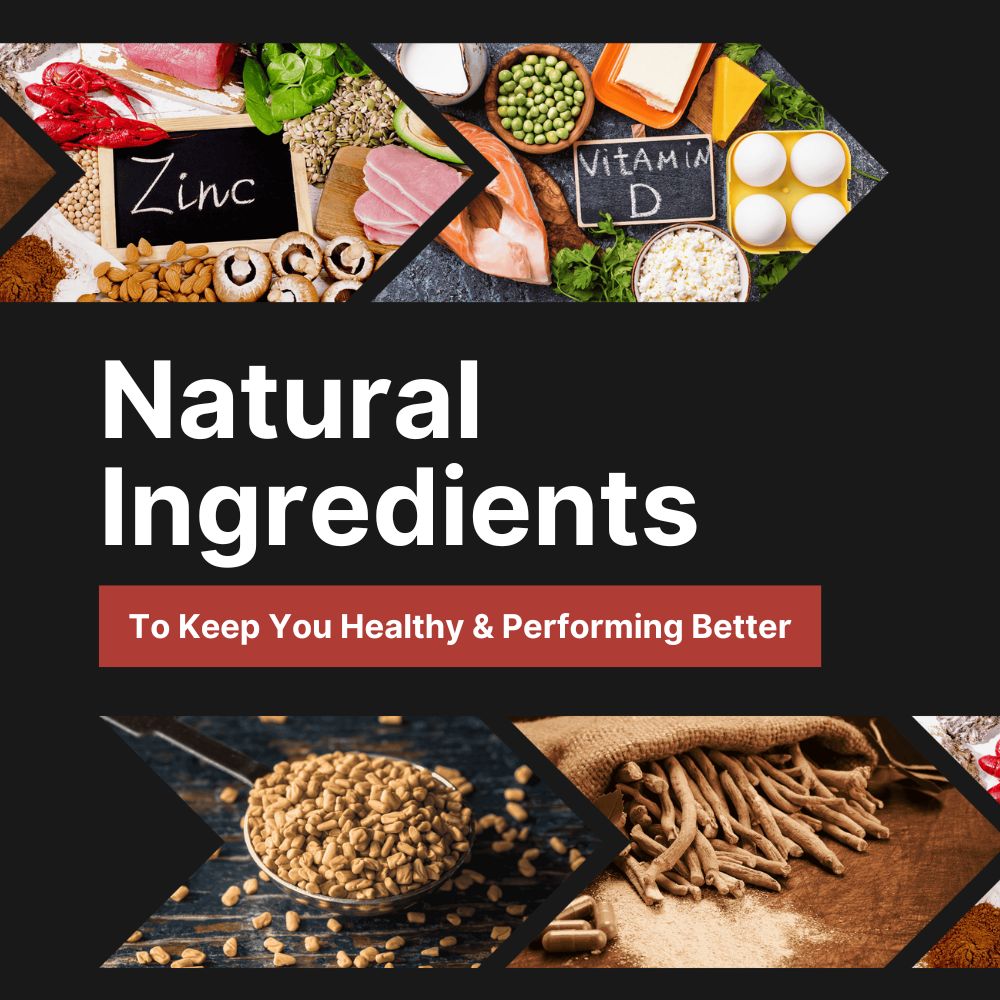 Natural Testosterone Support | Turkviva©